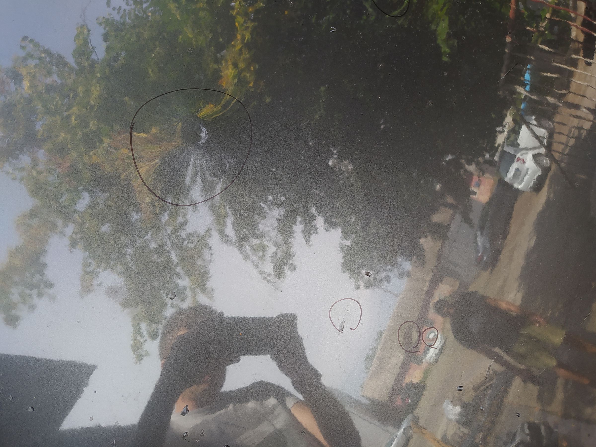 200s Дах Chrysler 200 S 2015 68104595AB Chrysler 200 S 6