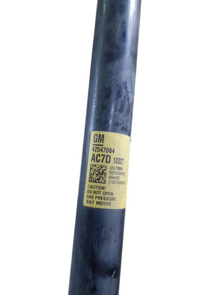 Bolt Амортизатор задній лівий/правий Chevrolet Bolt EV 2017-2023 42547084 Chevrolet Bolt EV 2