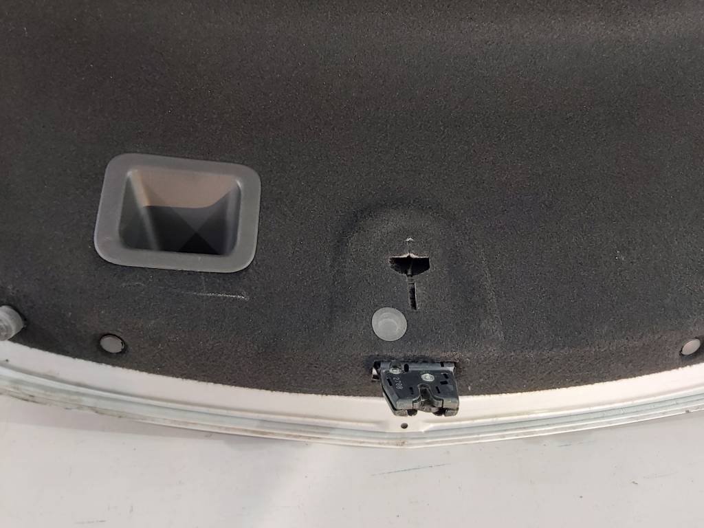 Regal Кришка багажника Buick Regal 2011-2013 20960904 Buick Regal 12