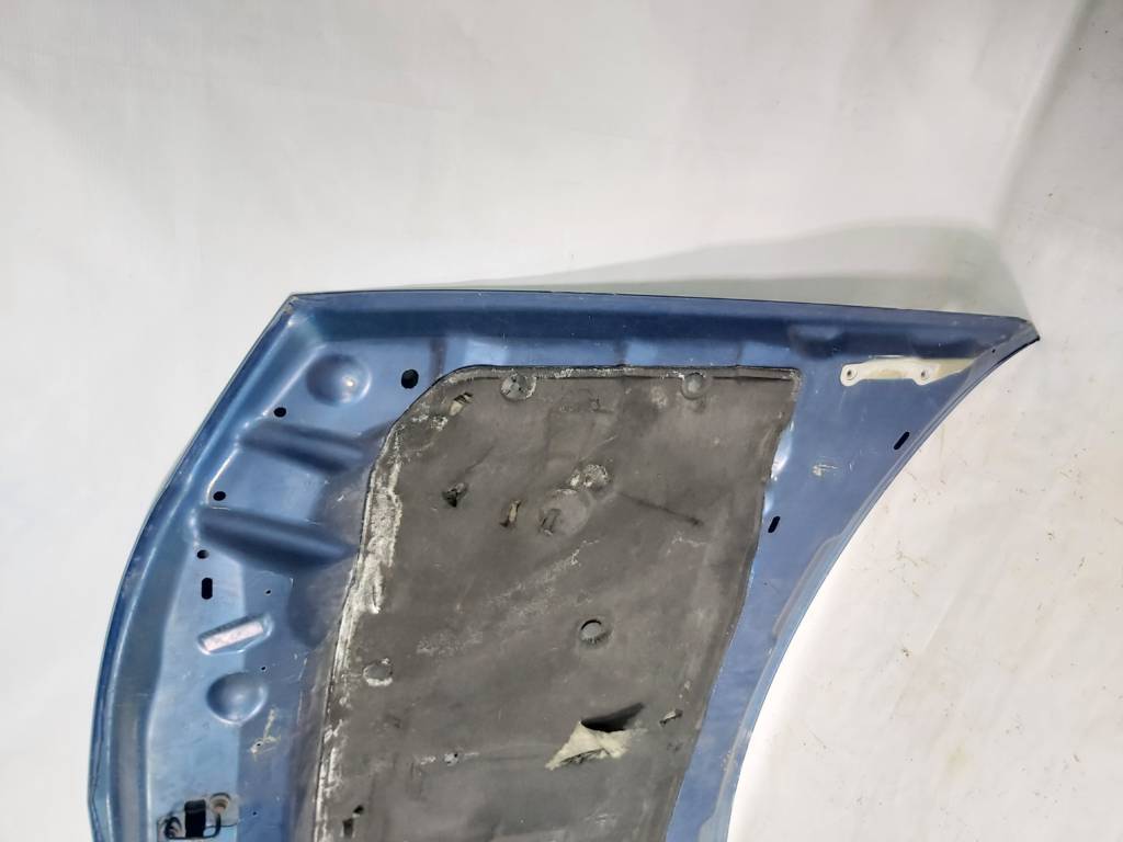 Charger Капот Dodge Charger 2008-2010 4575725AC Dodge Charger 9