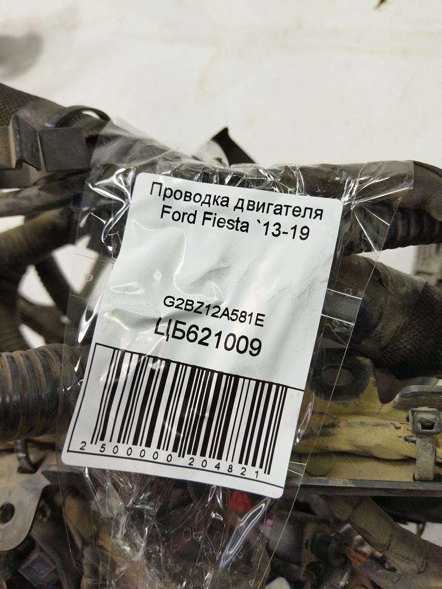 Fiesta Проводка двигателя (резаная) Ford Fiesta 2013-2019 G2BZ12A581E Ford Fiesta 6