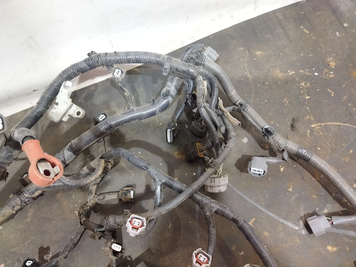 Sentra Проводка двигуна Nissan Sentra 2013-2019 240114AF2A Nissan Sentra 4 Sentra Проводка двигуна Nissan Sentra 2013-2019 240114AF2A Nissan Sentra 4