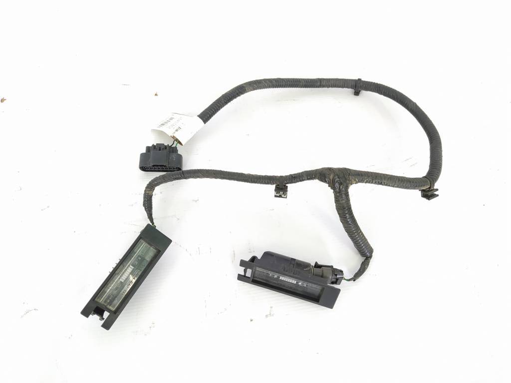 Malibu Підсвічування номера Chevrolet Malibu 2013-2018 20944894 Chevrolet Malibu 2