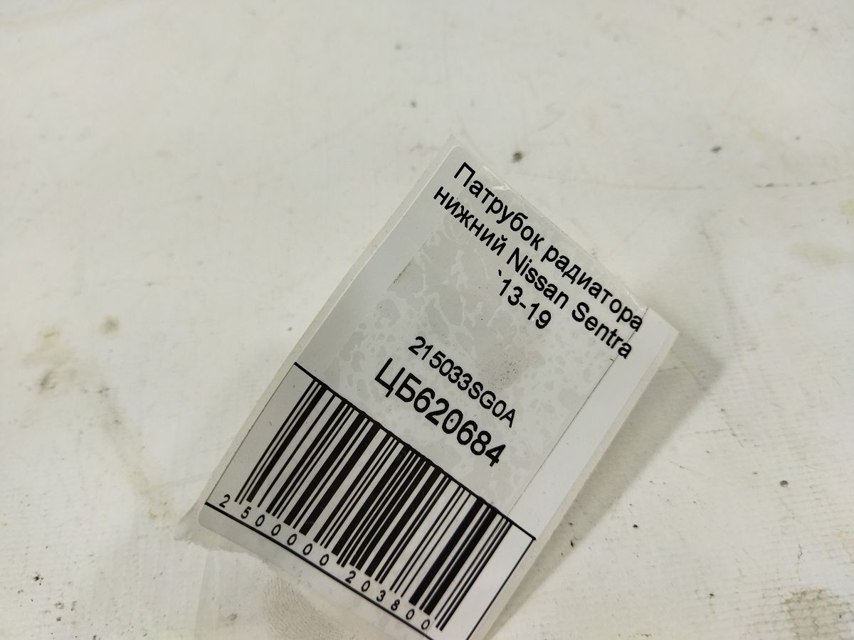 Sentra Патрубок радіатора нижній Nissan Sentra 2013-2019 215033SG0A Nissan Sentra 4 Sentra Патрубок радіатора нижній Nissan Sentra 2013-2019 215033SG0A Nissan Sentra 4