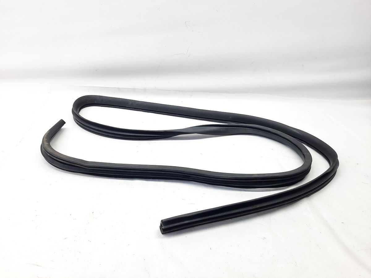 Grand caravan Ущільнювальна гумка прорізу дверей передньої лівої/правої Dodge Grand Caravan 2009-2020 1JG12XXXAG Dodge Grand Caravan 3