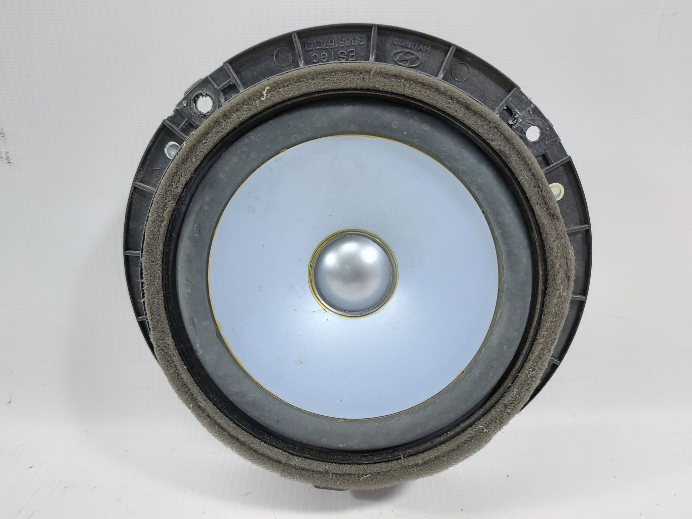 Sentra. Динамик двери передней правой Nissan Sentra 2013-2020 281569FF0A Nissan Sentra