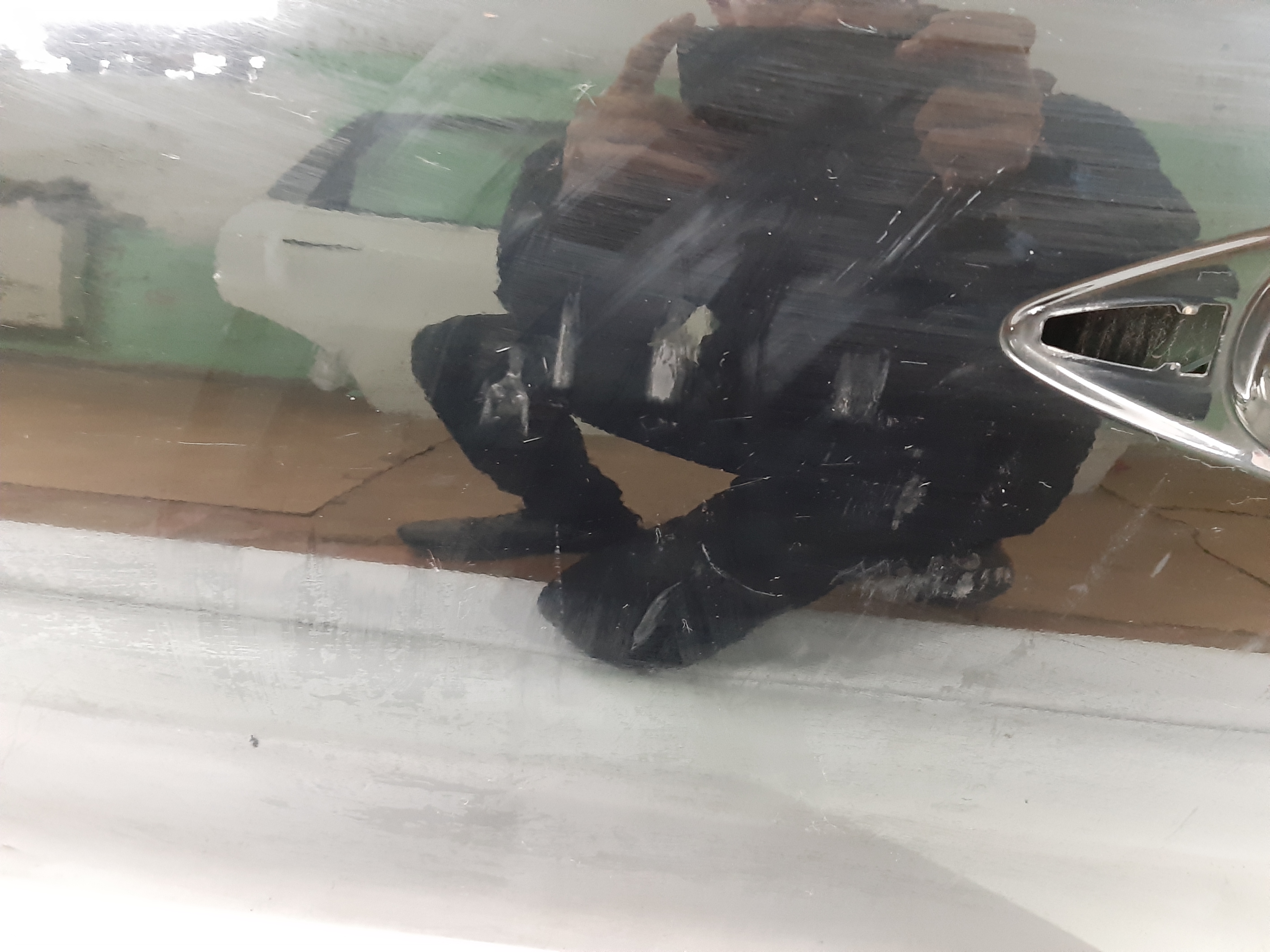 Maxima Дверь передняя левая Nissan Maxima 2010-2014 801019DC0A Nissan Maxima 16