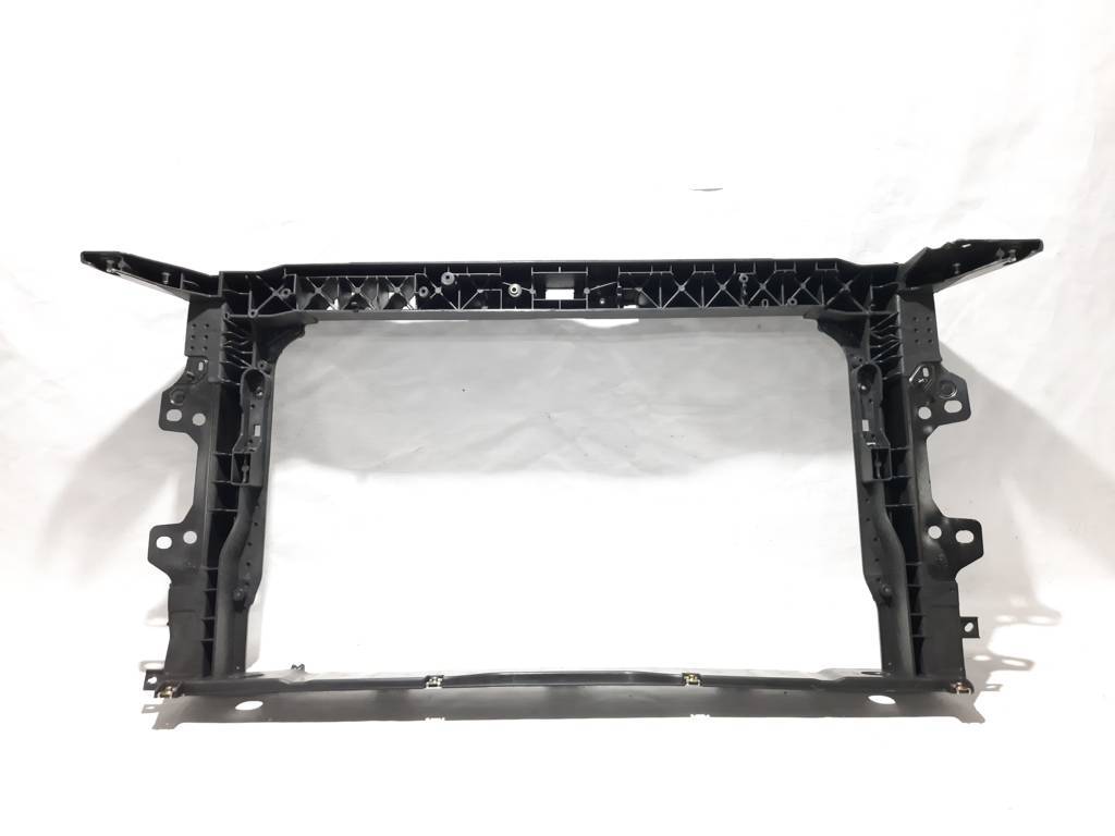 Вставки решітки радіатора Телевізор (дефект) Hyundai Elantra 2019-2020 64101F2500 Hyundai Elantra 4